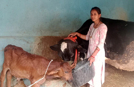 मेडिकल लैब से माटी तक, आरती ने पशुधन से लिखी सफलता की नई कहानी