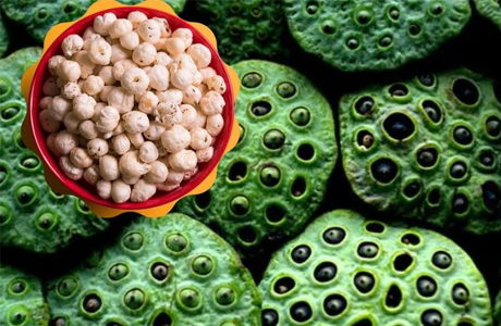 धमतरी को मखाना हब बनाने की तैयारी, वनांचल में सशक्त होंगे महिला समूह