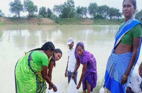 मिश्रित मत्स्य एवं झींगा पालन से मां दुर्गा समिति को सालाना 3.5 लाख की आय