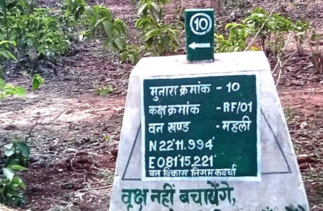 वनों की सुरक्षा को मिला नया कवच- 227 मुनारों का निर्माण पूर्ण