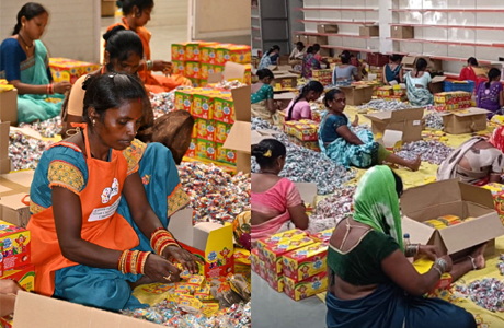 220 महिलाओं की आय एक लाख से अधिक, चटौद बना लखपति गांव