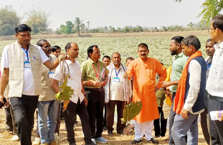 आरंग के ग्राम लिंगाडीह में मखाना खेती देखने पहुंचे मध्यप्रदेश के किसान
