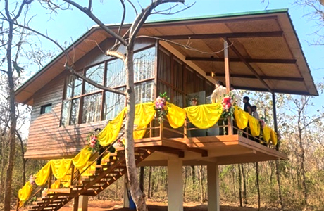 मोहरेंगा नेचर सफारी में जिप्सी सफारी और कॉटेज सुविधा शुरू