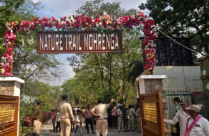 मोहरेंगा नेचर सफारी में जिप्सी सफारी और कॉटेज सुविधा शुरू