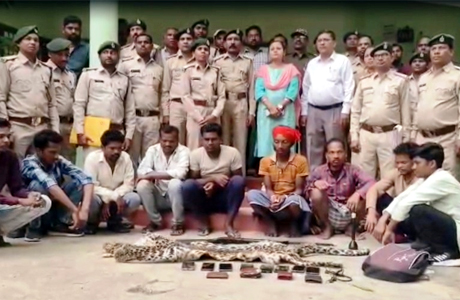 तेंदुए की खाल की तस्करी पर बड़ी कार्रवाई, 9 आरोपी गिरफ्तार