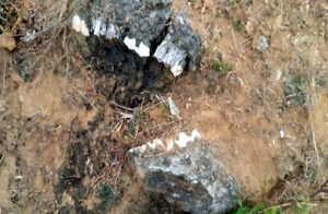 सीधी। मध्य प्रदेश के सीधी जिले की पहाड़ियों पर एक पुराना जीवाश्म मिला है। यह जीवाश्म बड़ी पुरातात्विक खोज साबित हो सकती है। पुरातत्व विभाग की टीम इसकी जांच कर रही है। पहाड़ियों पर मिले जीवाश्म के बारे में माना जा रहा है कि 25,000 से ढाई लाख साल तक पुराने हो सकते हैं। वहीं, पुरातत्विविदों ने शुरुआती सर्वे के बाद कहा कि साइंटिफिक डेटिंग से अभी इनकी सही उम्र की पुष्टि होना बाकी है।