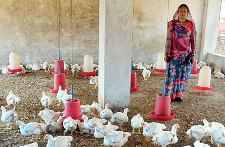 सफलता की कहानी : मुर्गी पालन से आत्मनिर्भर बनीं जमथान की सकून