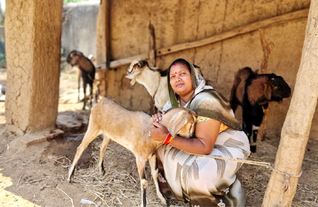 बिहान योजना से बदली जिंदगी: बकरी पालन से इंद्रनिया बनीं ‘लखपति दीदी’