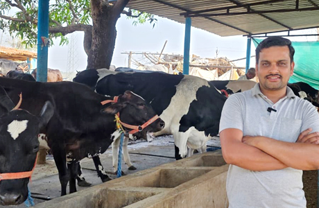 आधुनिक पशुपालन की मिसाल बने सरगुजा के राजनाथ यादव