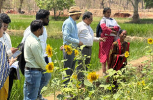 एकीकृत कृषि : 'दीदी के बखरी' से आ रही नई क्रांति कांकेर जिले की पहल