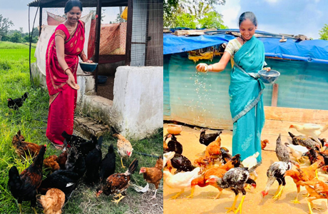 एकीकृत कृषि : 'दीदी के बखरी' से आ रही नई क्रांति कांकेर जिले की पहल