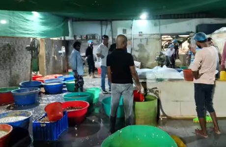 हैदराबाद में पकड़ा गया 4000 किलो नकली जिंजर-गार्लिक पेस्ट