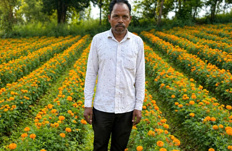 फूलों की खेती में लागत कम और मुनाफा ज्यादा, बदल रही कृषि परंपराएं