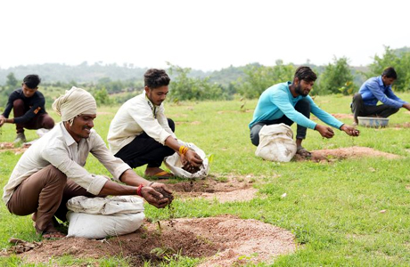 गेवरा की अनूठी पहल : बंजर डंप क्षेत्र को बना दिया हरा-भरा जंगल