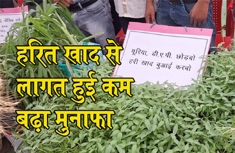 हरित खाद से बदली खेती की तस्वीर : कम लागत, अधिक मुनाफा और मिट्टी भी स्वस्थ