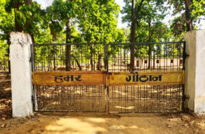 धोवाताल की 60 महिलाओं ने मिलकर रचा इतिहास, गौठान से चमकी किस्मत