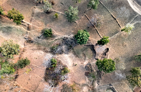 उदंती टाइगर रिजर्व में काटे एक लाख पेड़, इसरो सैटेलाइट इमेज ने खोली पोल