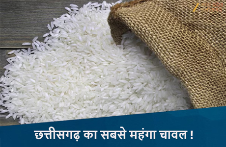 छत्तीसगढ़ का सबसे बढ़िया चावल! सेहत-स्वाद से भरपूर, बासमती भी फेल