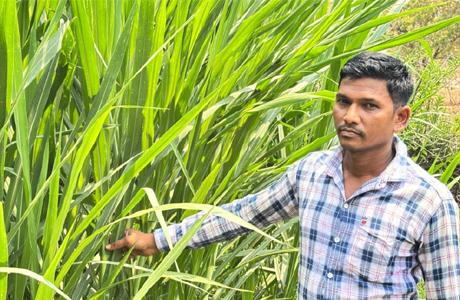 मजदूरी की बेड़ियां तोड़ 'मल्टी-फार्मिंग' के नायक बने ललित यादव