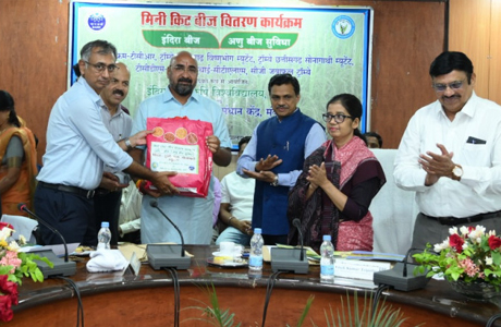 Mutant varieties of rice can revolutionise paddy production