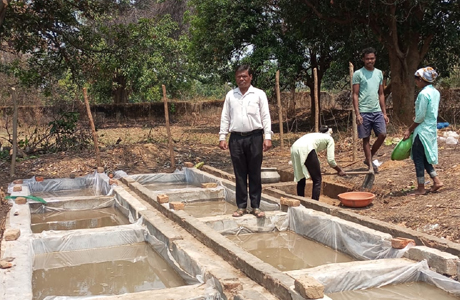 शासकीय फार्म में नील-हरित काई उत्पादन, किसानों को मिलेगी सस्ती खाद