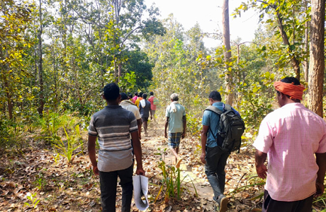 डिजिटल तकनीक से बाघों का सघन सर्वे, बीट स्तर पर हुई गणना