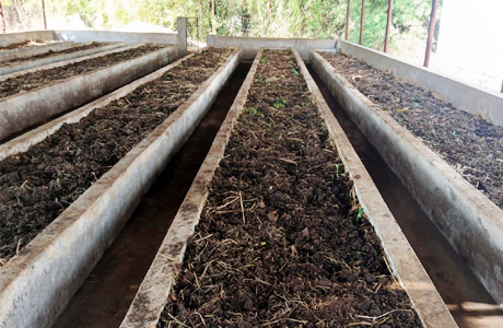 वर्मी कंपोस्ट ने बदली तस्वीर, कवर्धा वन विकास निगम की बड़ी सफलता