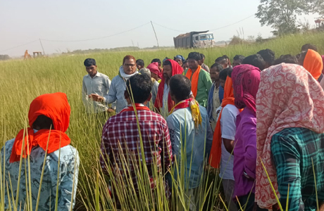 "बच" और "ब्राह्मी" से अबूझमाड़ बना रहा औषधीय खेती में अपनी पहचान