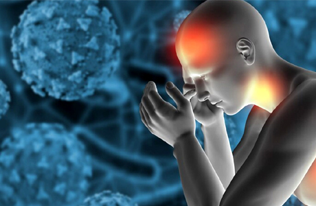 क्या है ऑटोफैजी Autophagy? क्या यह बुढ़ापे को भी रोक सकता है