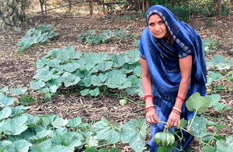 ग्रामीण आजीविका मिशन "बिहान" से बदली भगवती राठौर की आर्थिक स्थिति