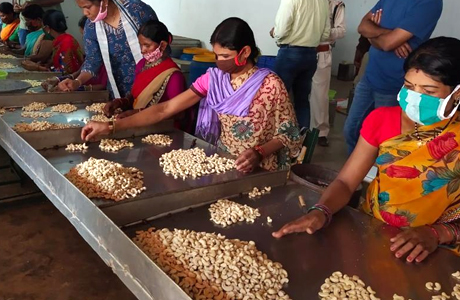 छत्तीसगढ़ का वनाधारित आजीविका मॉडल बना देश के लिए मिसाल