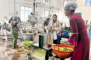 छत्तीसगढ़ बना हर्बल मैनुफैक्चरिंग हब, 20 हजार टन क्षमता के गोदाम