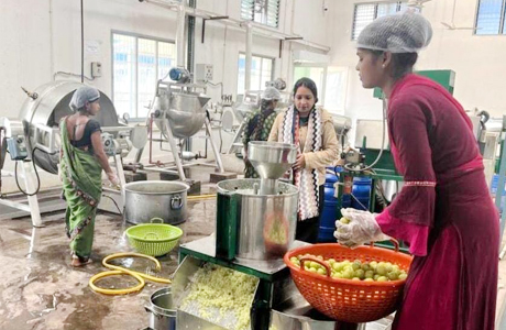 छत्तीसगढ़ बना हर्बल मैनुफैक्चरिंग हब, 20 हजार टन क्षमता के गोदाम