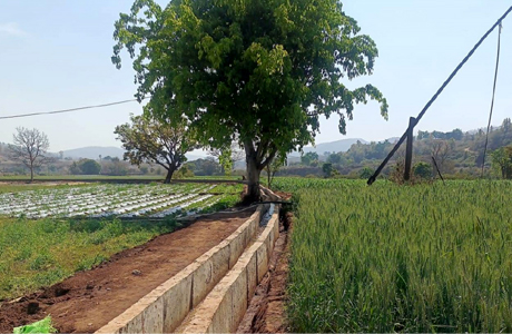 मनरेगा से बनाई 800 मीटर की पक्की नाली, 250 एकड़ खेतों तक पहुंचा पानी