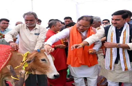 लाखासार स्थित सुरभि गौधाम की व्यवस्थाएं सुदृढ़, 25 एकड़ में फैला है परिसर