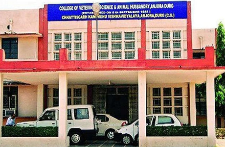 सरकारी कामधेनु विश्वविद्यालय में आक्रोश : मार्च का वेतन मिला मई में