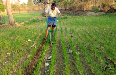 प्राकृतिक खेती और मिलेट्स के लिए दंतेवाड़ा जिले में “खेत बचाओ अभियान”