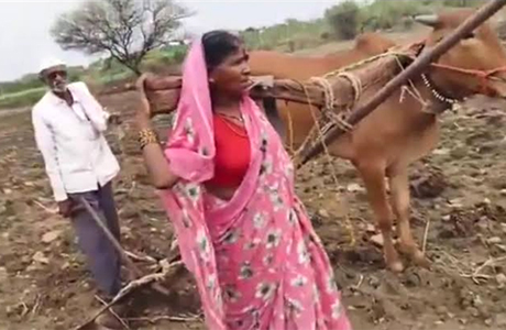 सच्ची थी महिला के खेत जोतने वाली तस्वीर, मुफ्त के पैरोकारों का मुंह काला