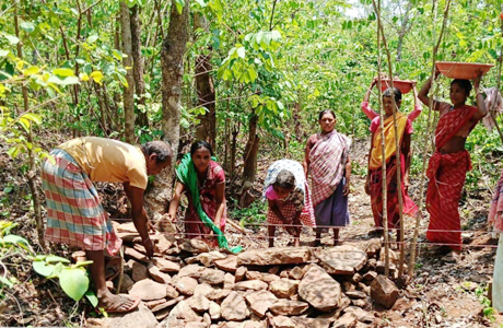 मोर गांव, मोर पानी : दंतेवाड़ा में पर्यावरण संरक्षण और जल संवर्धन को मिली नई दिशा