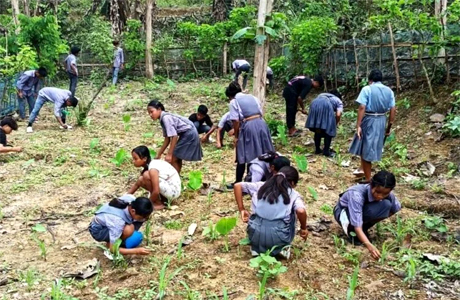 1000 आश्रम-छात्रावासों में बनेंगी पोषण वाटिकाएं, मिलेंगे ताजे फल एवं सब्जियां