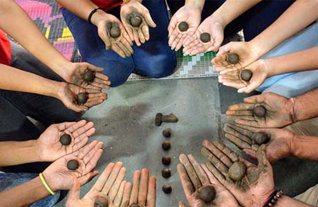 'बीज गोला बनाबो-जशपुर के जंगल ला बढ़ाबो” महाअभियान की शुरुआत