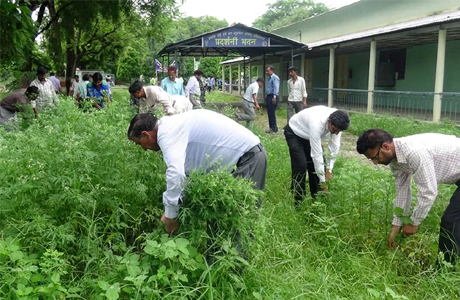 गाजरघास के खिलाफ मुहिम, बीजापुर में स्कूलों से खेतों तक चला अभियान