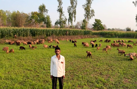 भेड़ पालन से आत्मनिर्भर बने बस्तर के सुरेन्द्र, ग्रामीण उद्यमिता की बने मिसाल