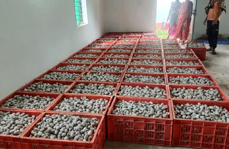 रेशम : नारायणपुर में टसर योजना से संवर रही ग्रामीणों की तकदीर