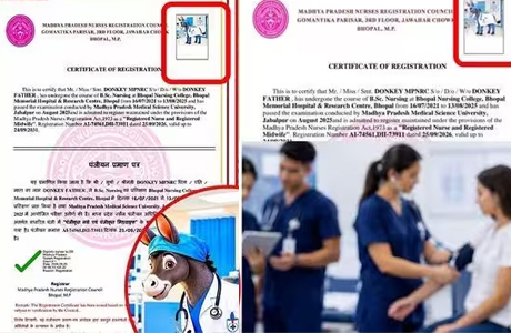 गधे का आवेदन लगाया, जानवर भी लिखा फिर भी मिल गया नर्सिंग लाइसेंस