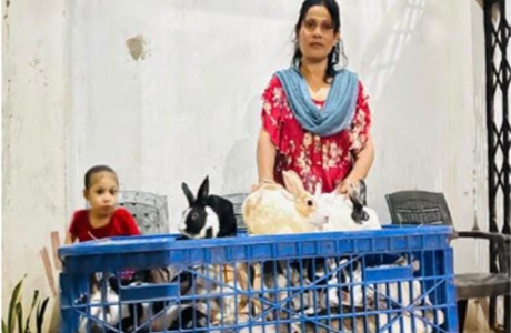 ‘सक्षम योजना’ : बेचारी से रोजगार प्रदाता बन गई धमतरी की सफीना