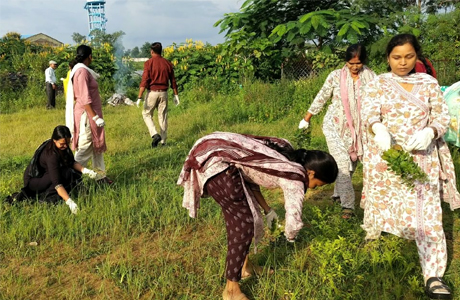 सेवा संकल्प में अधिकारियों-कर्मचारियों ने श्रमदान से दिया स्वच्छता का संदेश