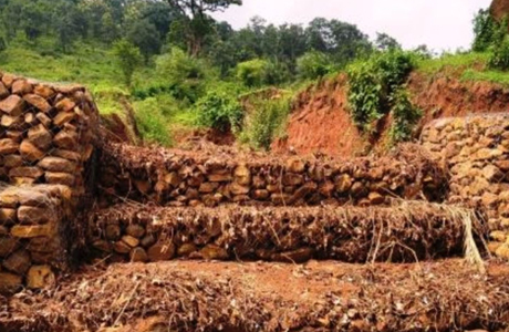 कुरमंडी नाले पर निर्मित गेबियन संरचना बनी जल एवं मृदा संरक्षण की मिसाल 