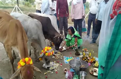 छत्तीसगढ़ में गोवर्धन पूजा पर 9 नवम्बर को सार्वजनिक अवकाश की घोषणा